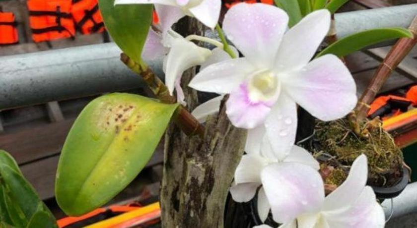 Orchid Lake House Ban Wang Khon Buitenkant foto